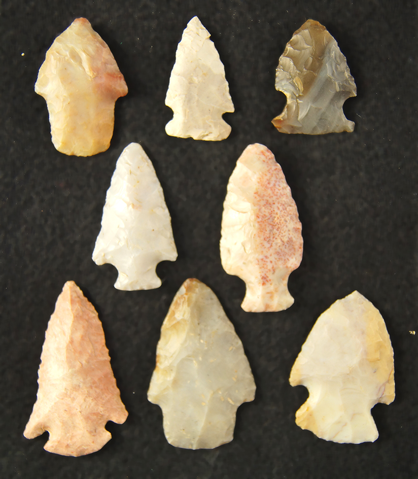 Set of 8 nice flint Arrowheads found in Ohio, largest is 1 7/8".