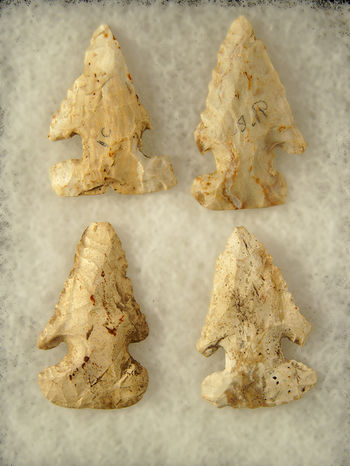 Set of 4 Exhausted Thebes Bevels found in the Midwest, largest is 2 1/8".