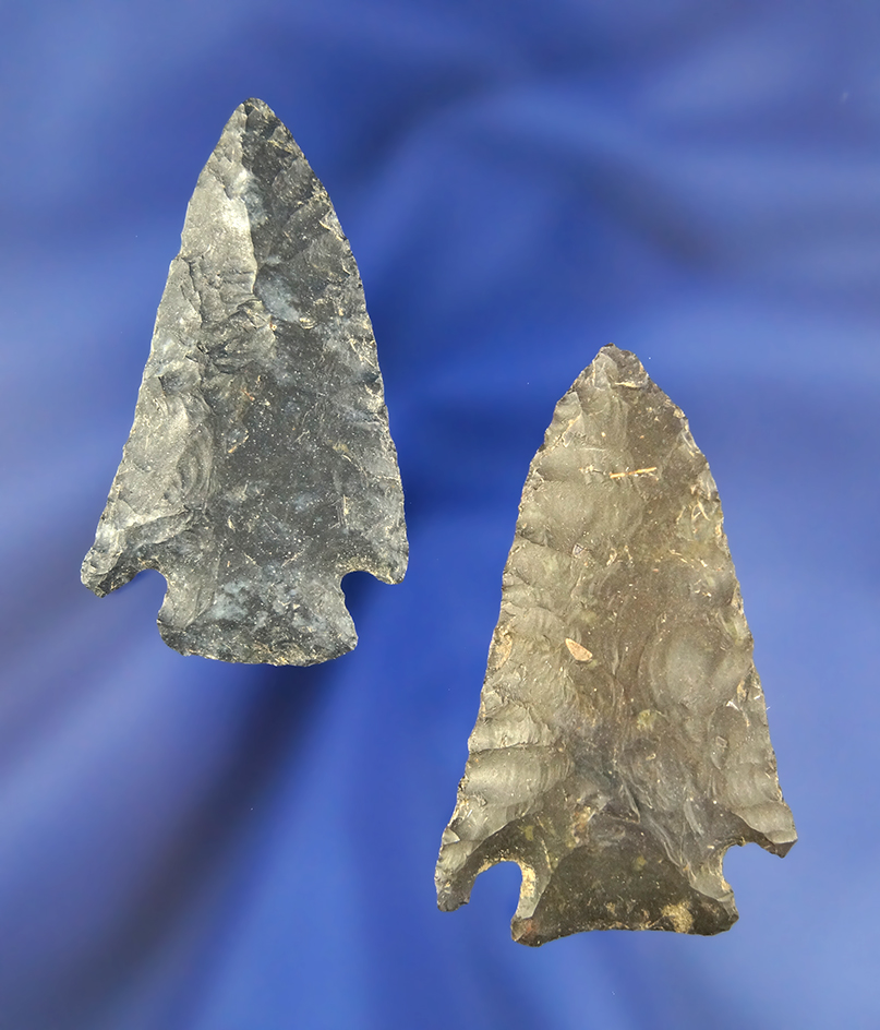 Nice pair of Cornernotch Coshocton Flint Arrowheads, largest is 2 1/8", Knox Co., Ohio.