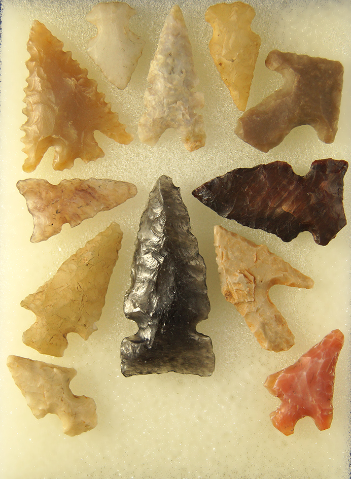 Set of 12 Assorted Western US Arrowheads,  largest is 1 5/16".