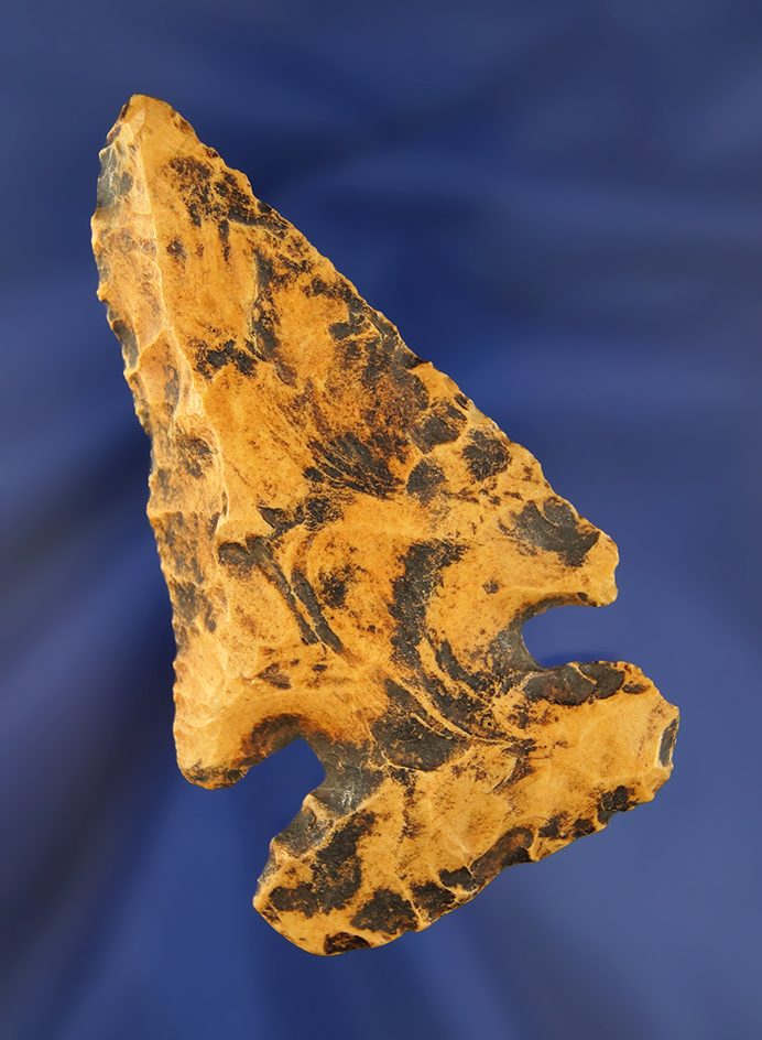 3 1/2" Wide Base Archaic Thebes Bevel  found in Western Ohio. Ex. Earl Townsend collection.