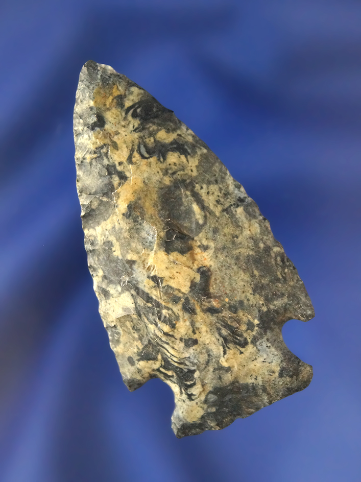 2 1/8" Colorful Intrusive Mound made from Mottled Flint and found in Hamilton Co., Ohio.