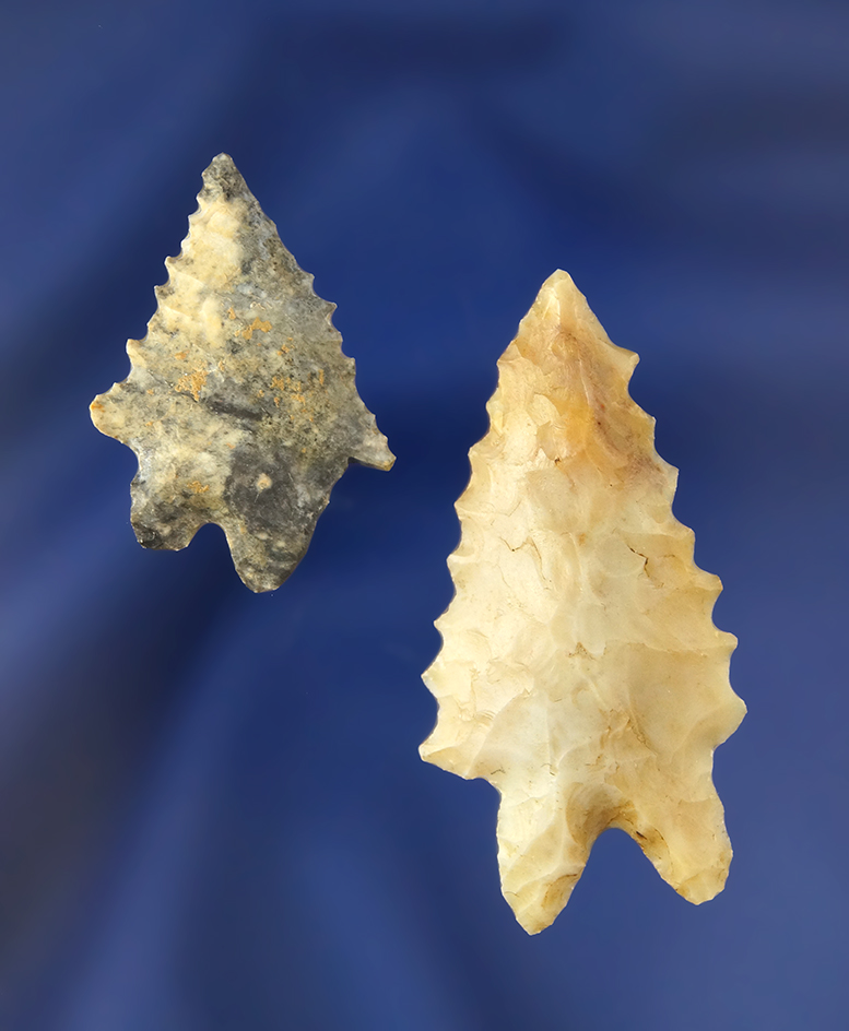 Pair of nice Lake Erie Bifurcates found in Stark Co., Ohio.  Largest is 1 3/4".