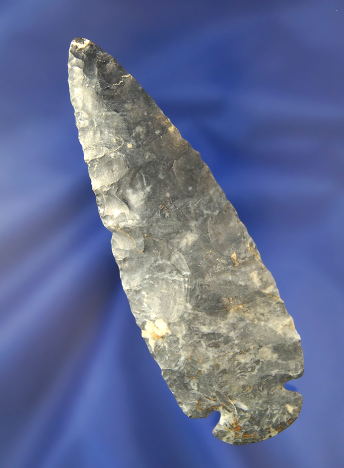 4 1/4" Archaic Dovetail - Coshocton Flint and found in Coshocton Co., Ohio.  Bennett COA.