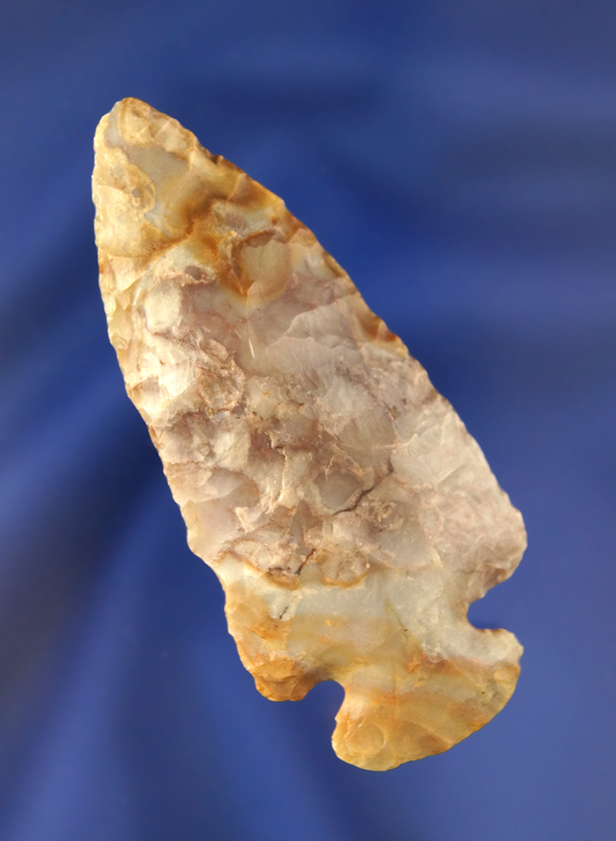 2 3/4" Highly colored purple/yellow Dovetail found in Fayette Co., Ohio.