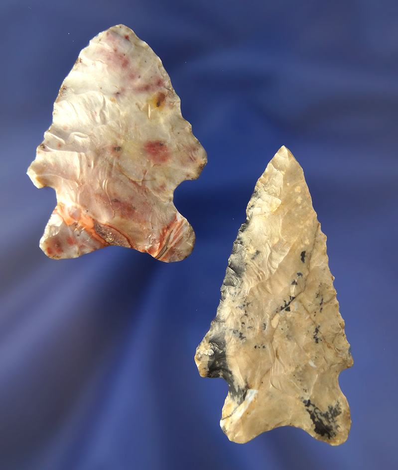 Pair of attractive Flintridge Flint Bifurcates found in Ohio, largest is 2 3/8".