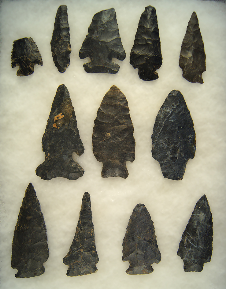 Set of 12 Coshocton Flint Arrowheads found in Ohio. Largest is 3 1/4".