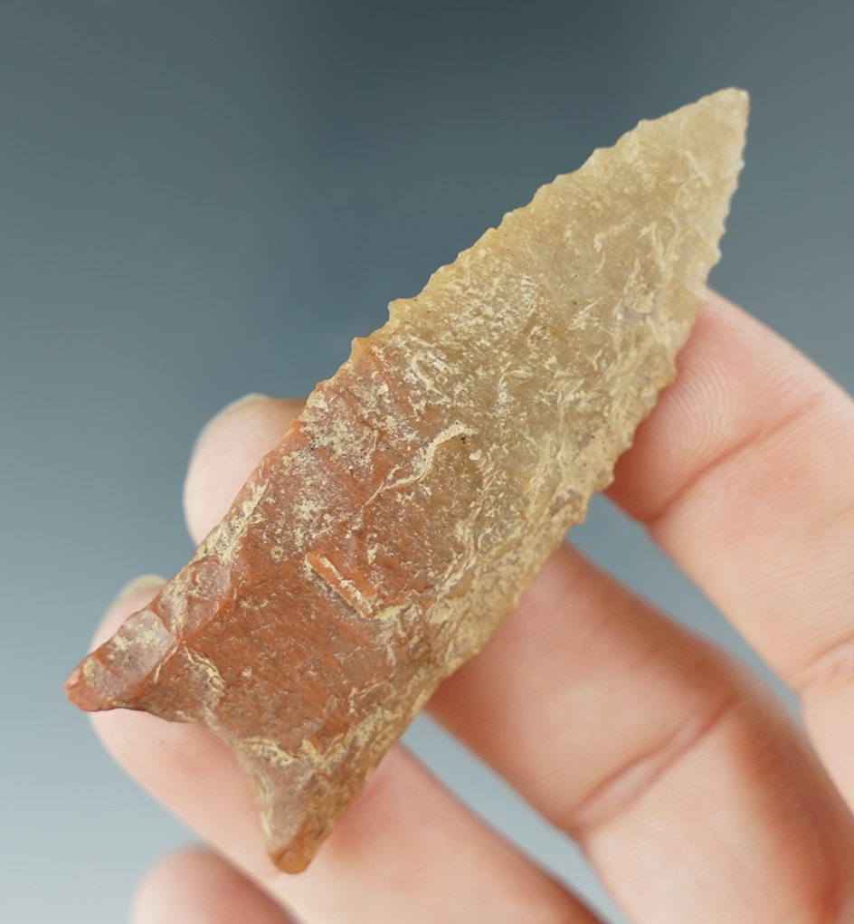 Exceptionally well made 2 9/16" Serrated Dalton found in Mississippi Co., Arkansas.