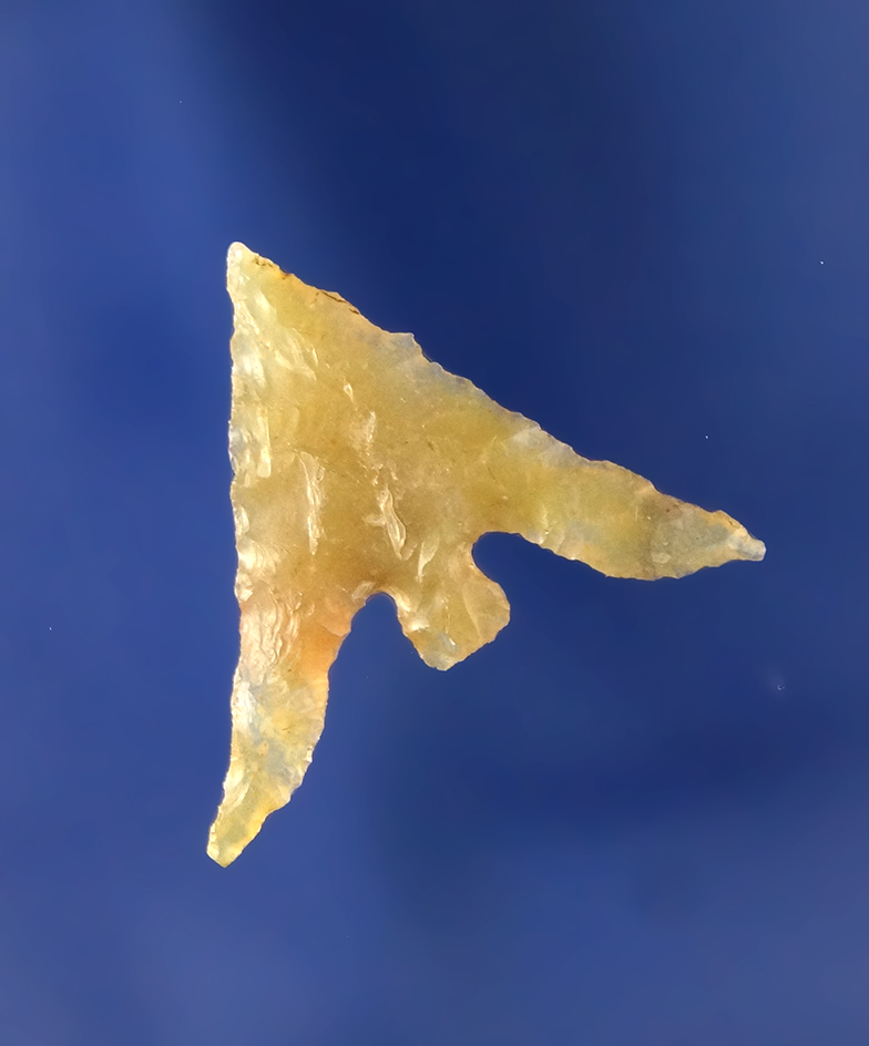 Extreme Winged Columbia Plateau, amber colored Agate, 7/8”. Found near the John Day River