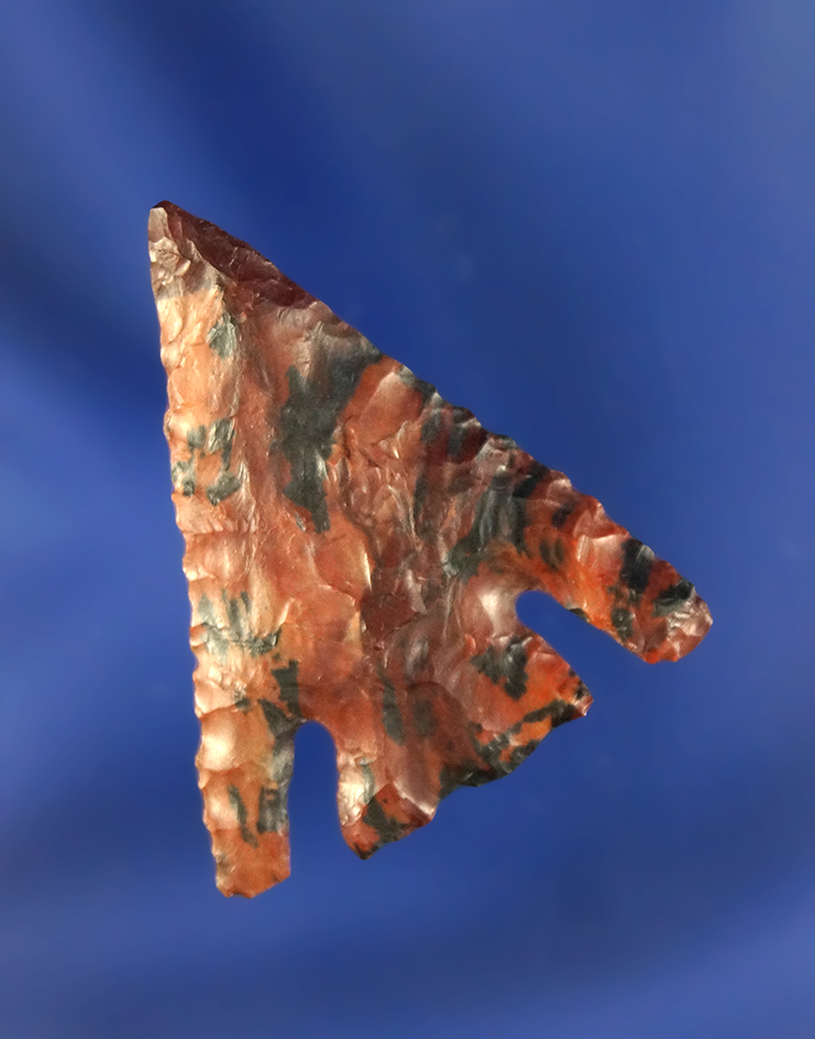 Deep Notch Eastgate, 1 3/8”L, brown and black mottled Chalcedony. Found in The Dalles area