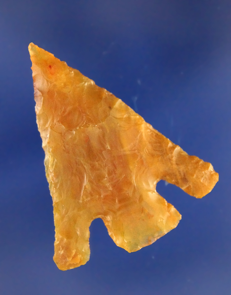 1 7/16" Hells Canyon Basal Notch found near the Columbia River, Washington. Ex. Pelkey.