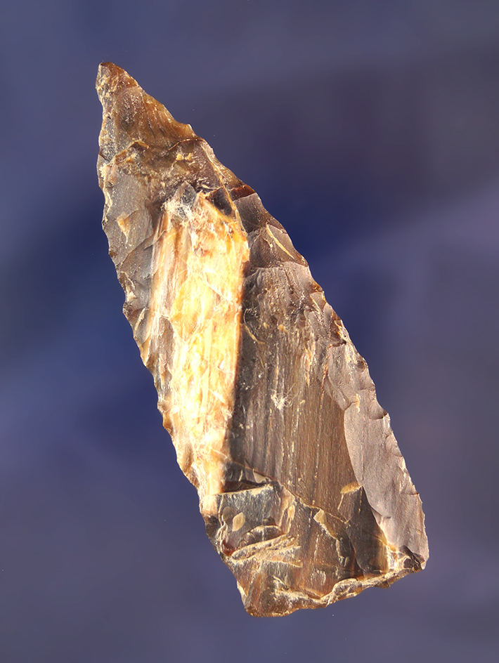 2 7/8" Archaic Knife made from PetrifiedWood  found in Klickitat County Washington.