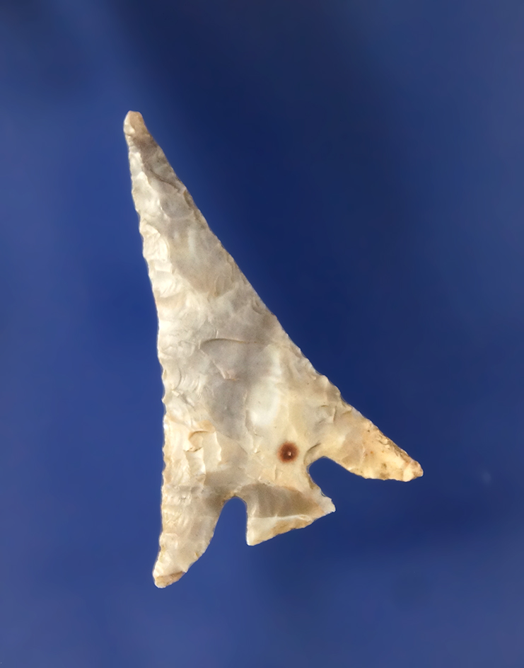 Columbia Plateau with nice barbs, Grey with White vein, 1 1/4" L. Found by Keith Bradbury.