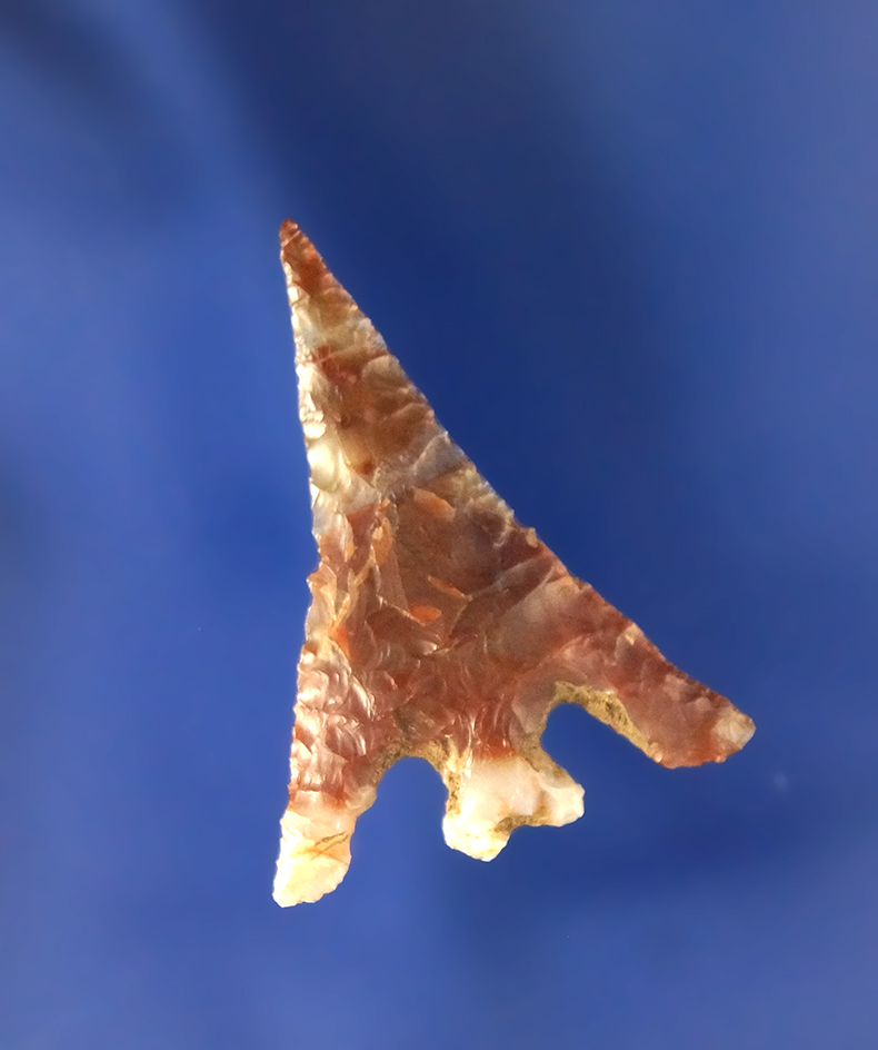 Columbia Plateau with large wings and basal notch, Jasper-Agate, 1 1/4” L. Ex. Keith Bradbury.