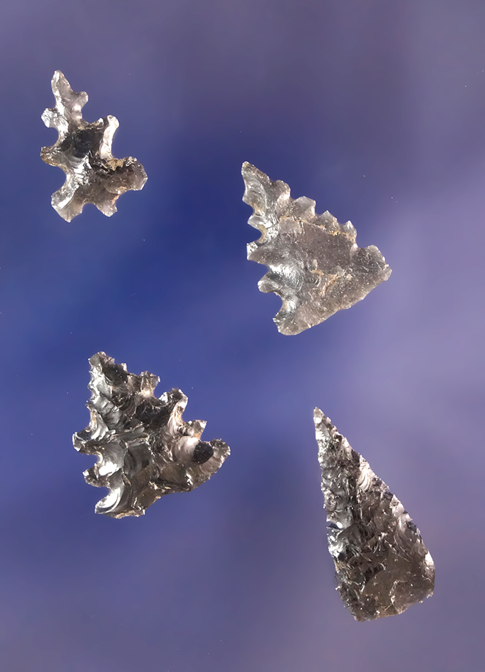 4 Superior Micro Calapooya points, 3 Fern Leaf’ types; 1/2" to 11/16” L, Obsidian.Linn Co., OR.