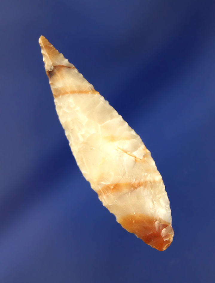 Beautiful multi-colored 2 1/16" Leaf Point found near the Columbia River.