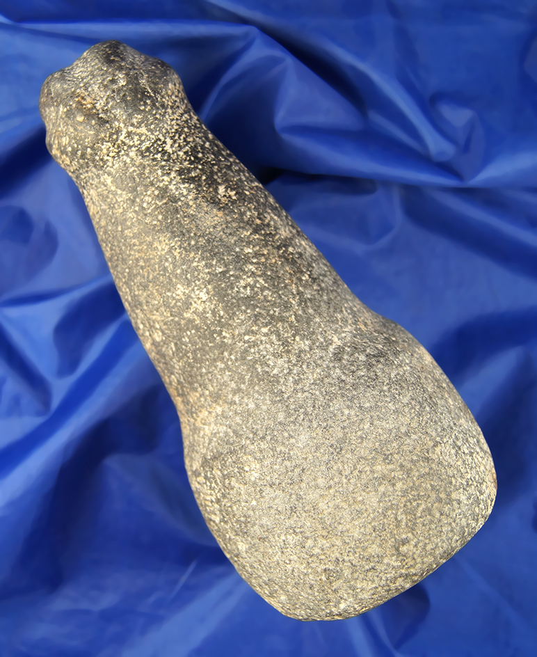 Highlight! Large Zoomorphic Maul. Basalt with a stylized animal head  8 3/4".  Ex. Bill Peterson.