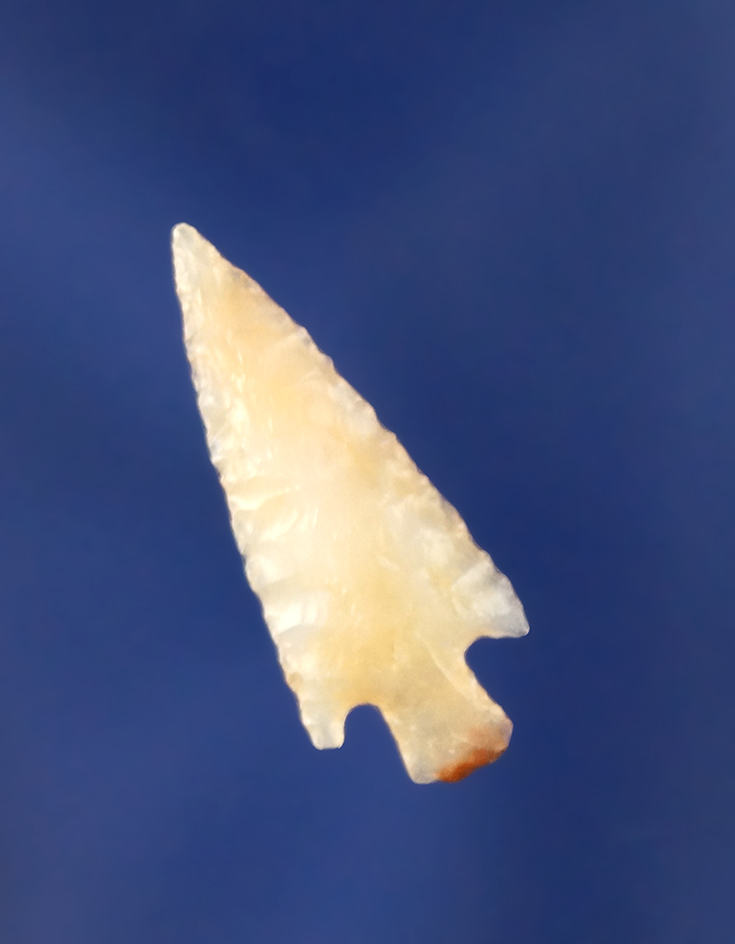 1" Gempoint found near the Columbia River - nicely flaked from semi translucent chalcedony.