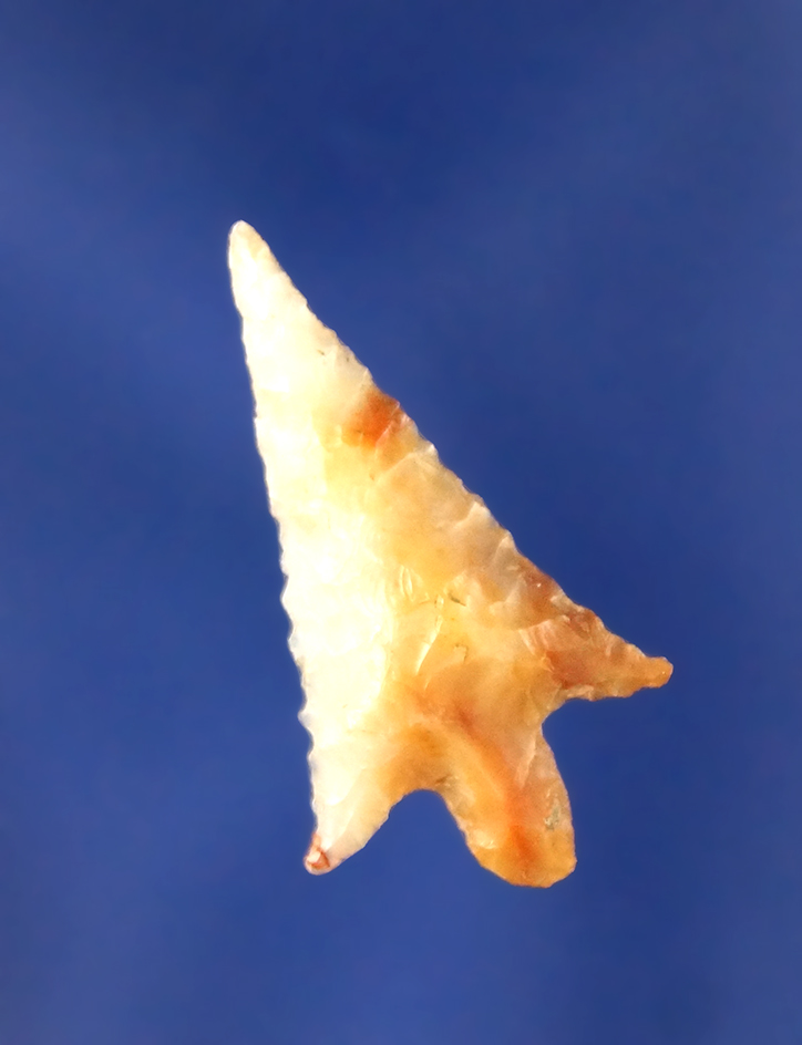 1 1/16" Rabbit Island Arrow that is nicely flaked - found near the Columbia River.