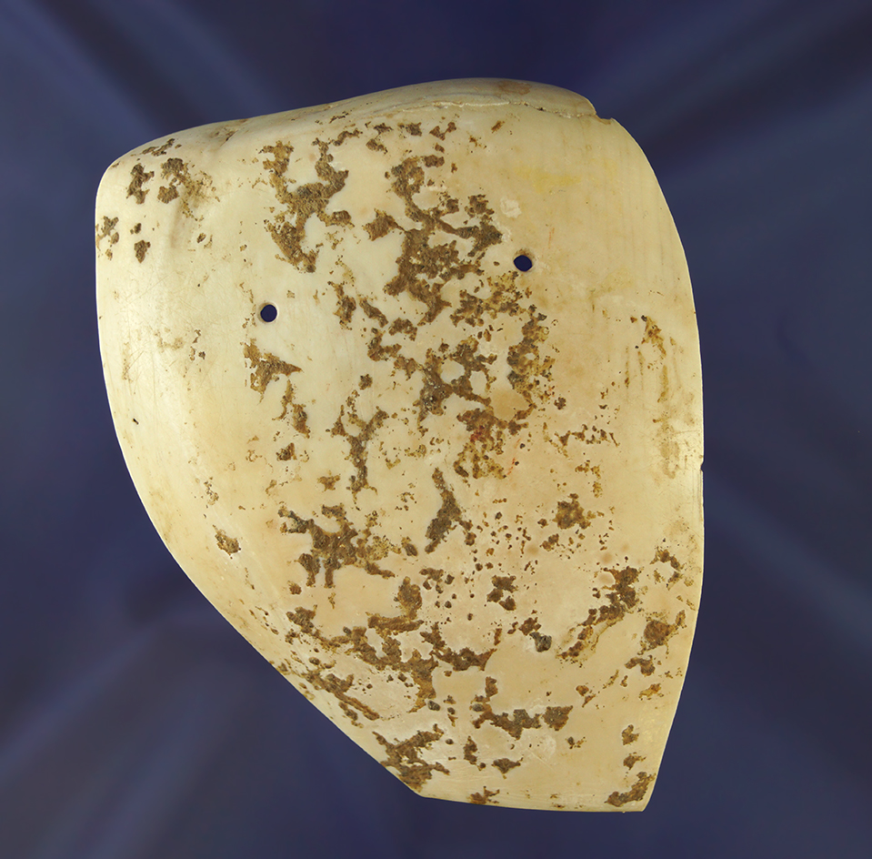 4 5/8" nicely styled drilled Conch Shell Gorget with heavy deposits - Alabama. Ex. Dan Stroud
