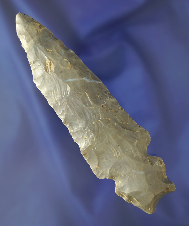 5 1/8" Hornstone Turkeytail-Harrison variety found in Montgomery Co., TN. Dickey COA.