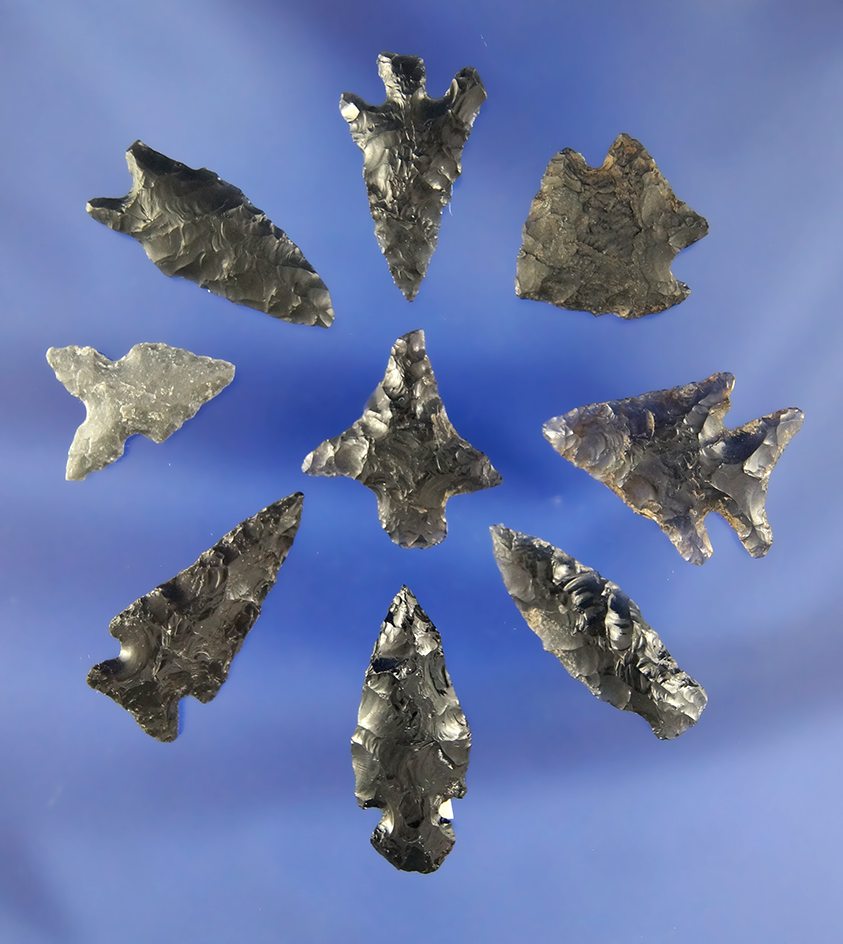 Set of nine assorted obsidian arrowheads found in California and Oregon. Largest is 1 1/8".