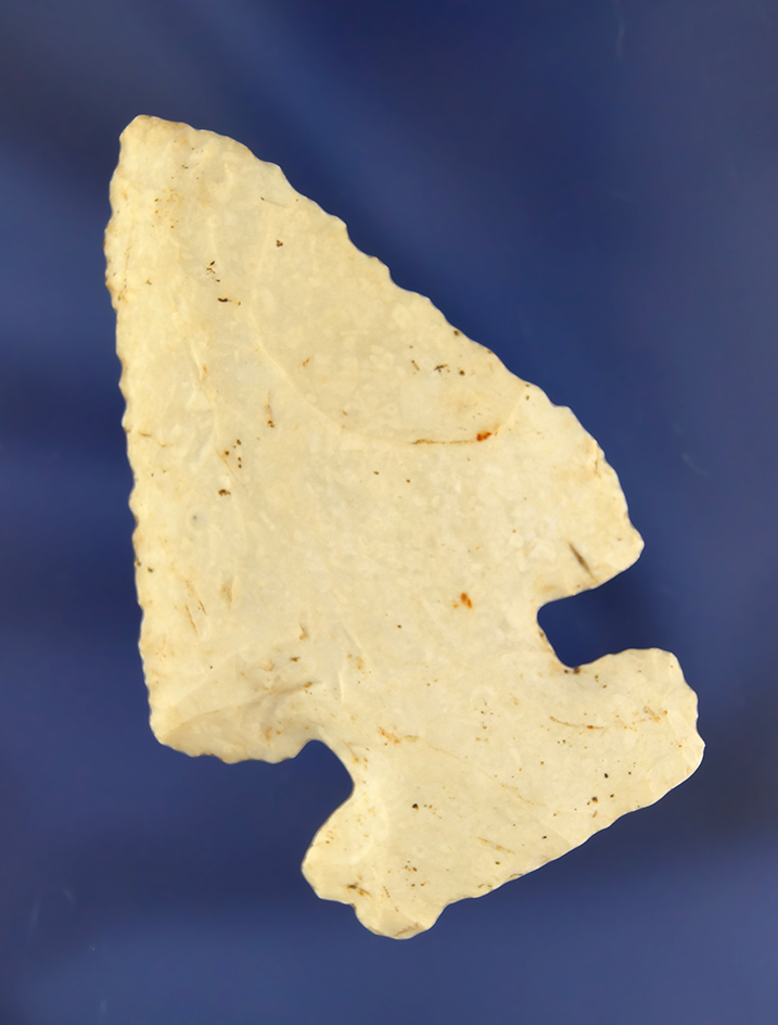 2 13/16" Archaic Thebes Bevel found in McLean County Illinois near the town of Leroy.