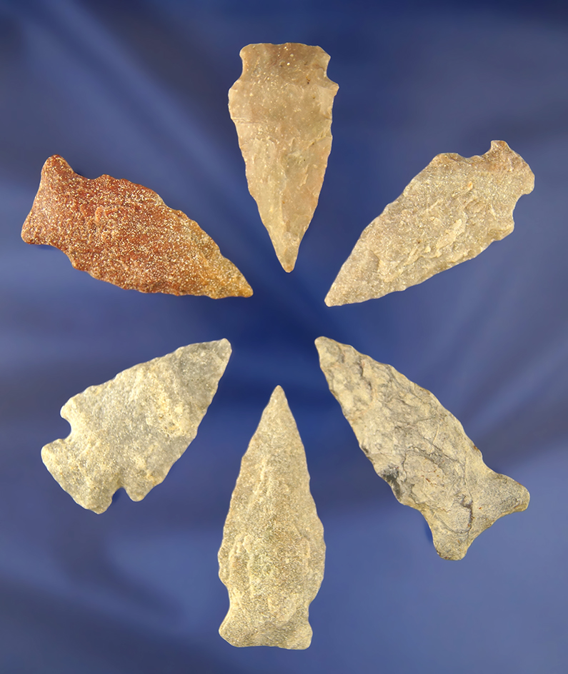 Set of six assorted Arrowheads found in Sussex County Virginia, largest is 2 1/4".
