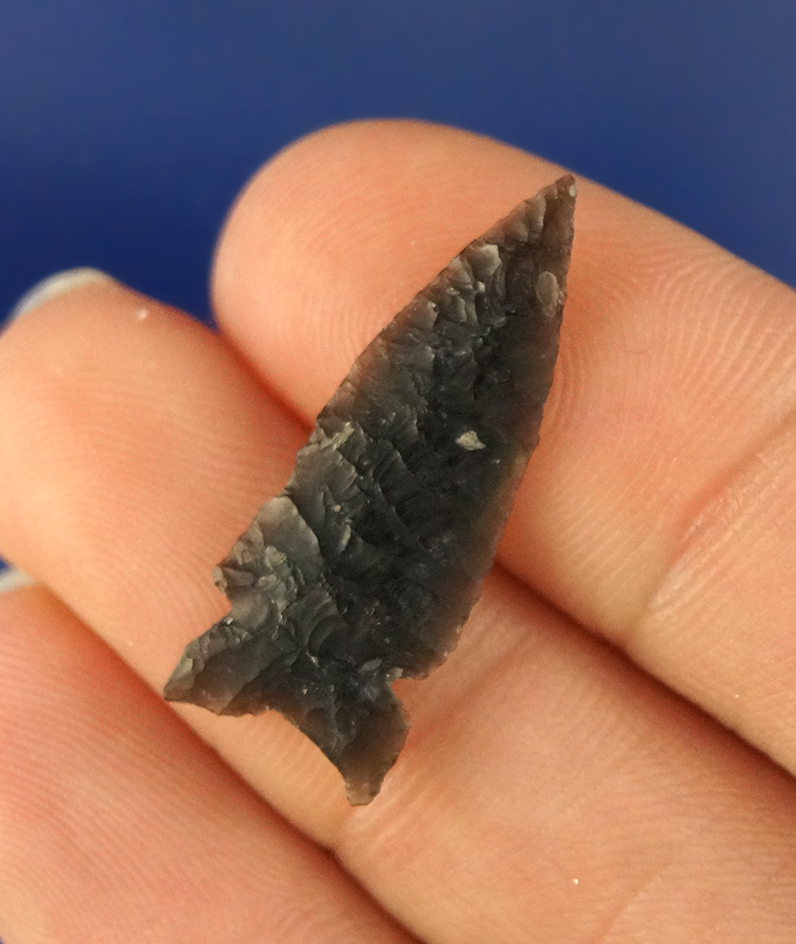 1 1/16 thin and well flaked Sidenotch found by R. D. Mudge in Nevada.