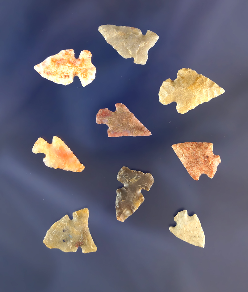 Group of 10 assorted Arrowheads, largest is 7/8". Found in Los Alamos County Colorado.