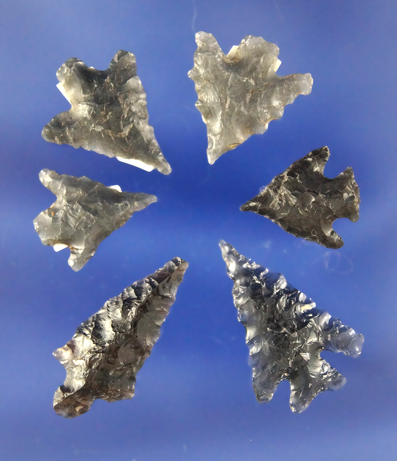 Set of six nice assorted obsidian arrowheads found in Oregon. Largest is 1 1/8".