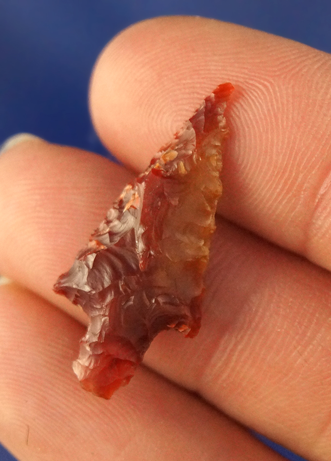 1 1/8" Rose Springs Stemmed made from beautiful semi translucent red Agate.