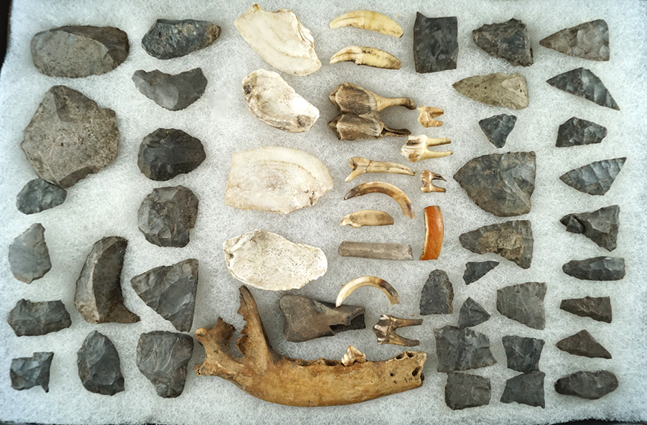 Group of site material: shell, Flint, scrapers found at the Fort Hill site, Wyoming Co., New York.