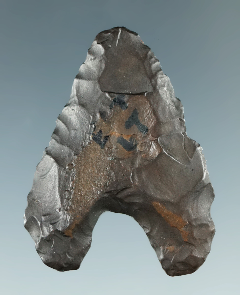 1 9/16" Levallois Basal notch point found in Fayoum, Egypt. Ex. Henry S. Taylor, Bill Morano.