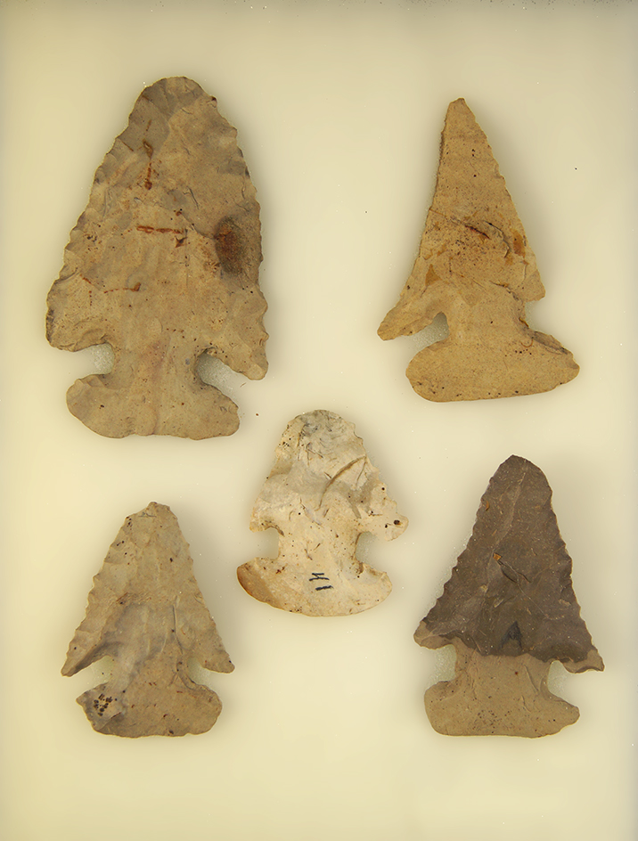 Set of 5 Archaic Thebes Bevels found in Ohio. Largest is 2 3/4".