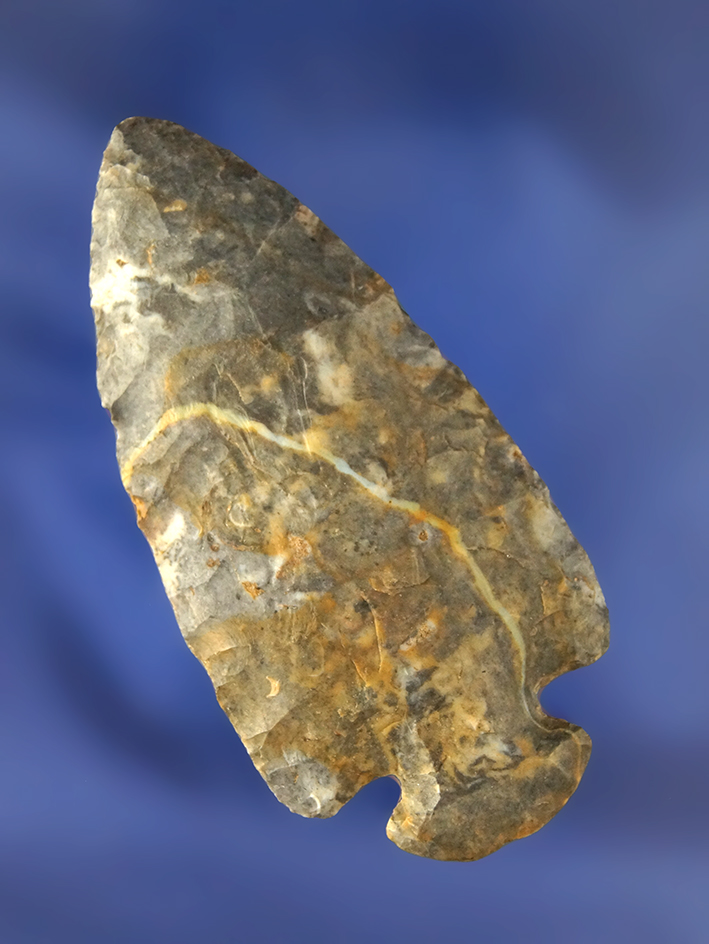 2 3/4" Multi-colored Coshocton Dovetail found in Richland Co., Ohio.