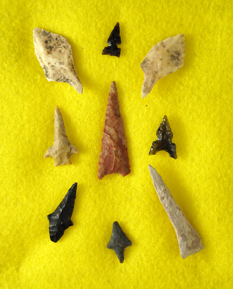 Nice selection of nine arrowheads, two made from Gar scales. Largest is 1 5/8". Southwestern U. S.