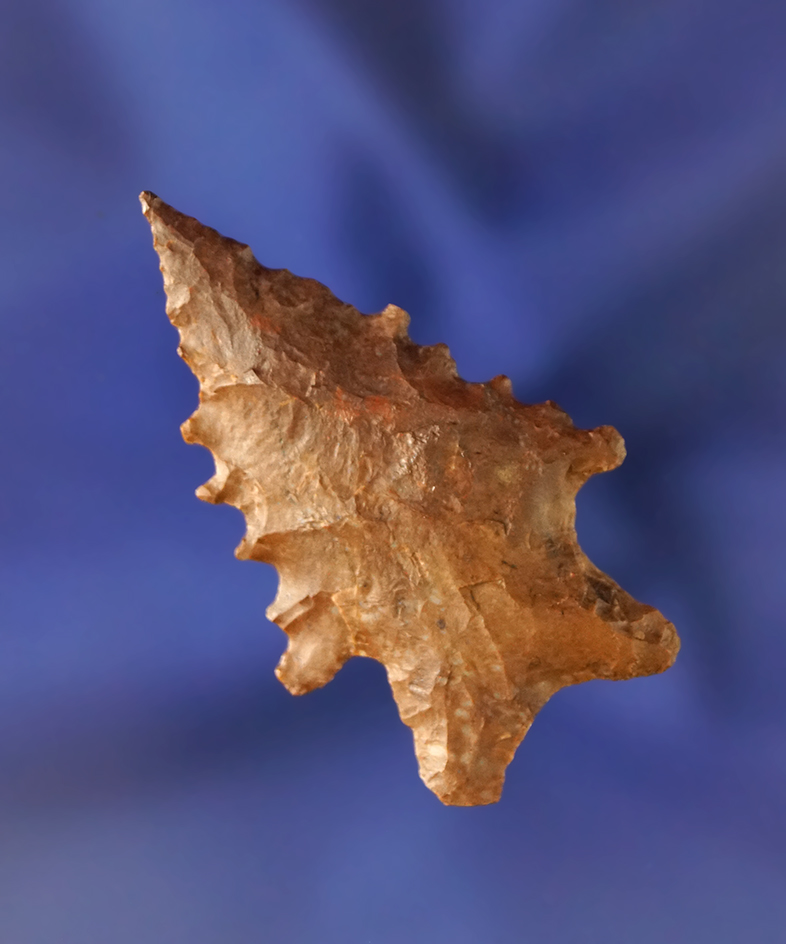 Excellent edge serrations on this 1 3/4" Zephyr point found in Luna Co.,  New Mexico.