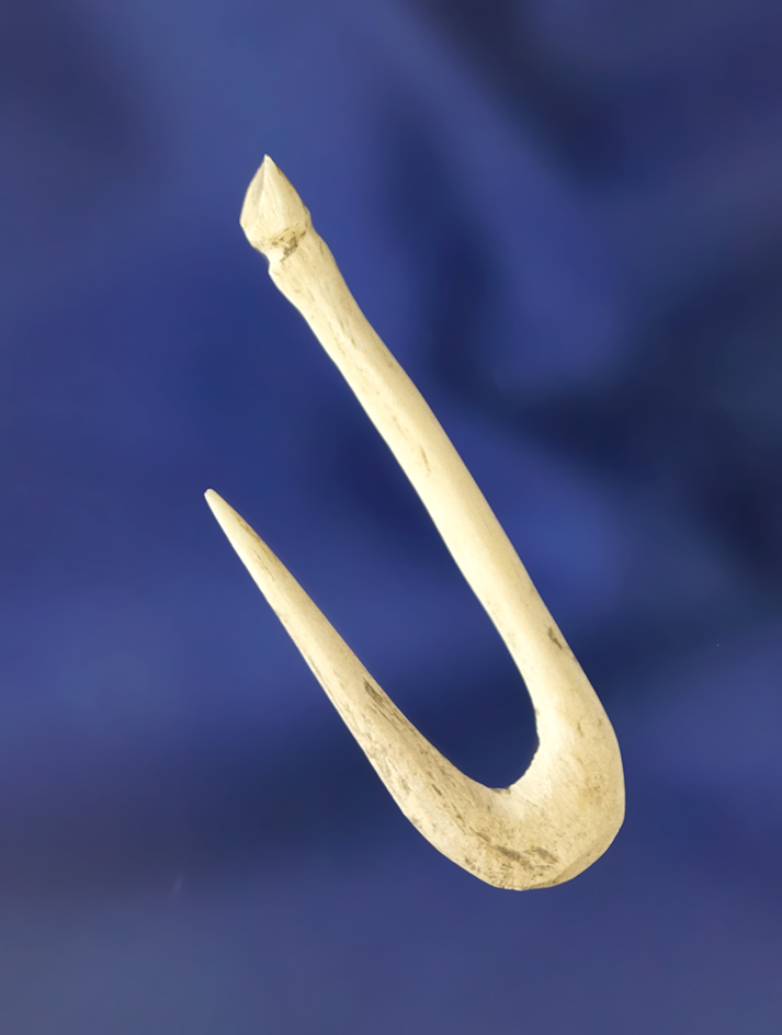 Nice! 1 11/16" Bone Fishhook found near Saltville, Virginia in excellent condition.