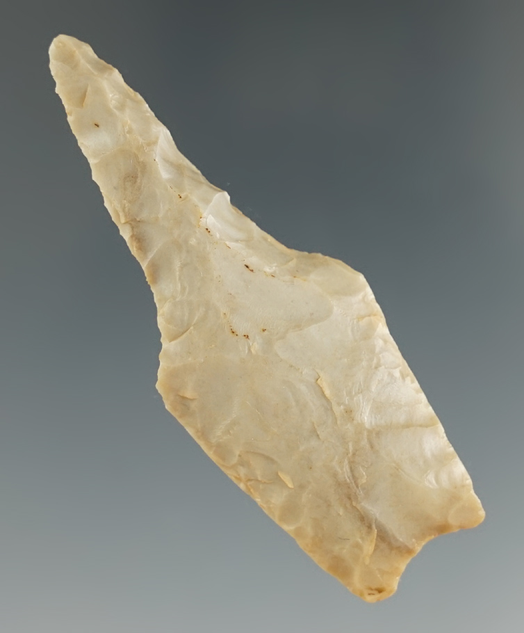 2 1/4" Angostura Drill found in Williamson Co., Texas. Comes with a Rogers COA.