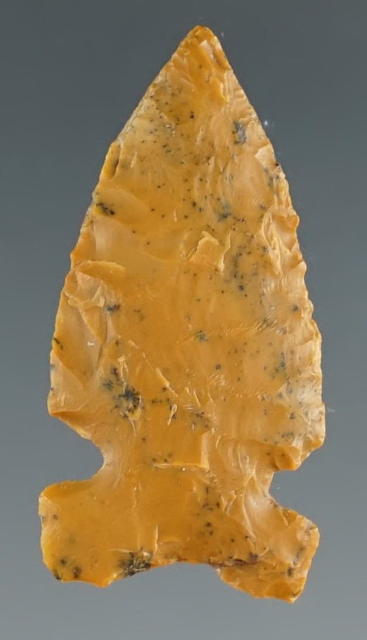 Beautifully flaked 1 1/4" Sidenotch point found in Montana.