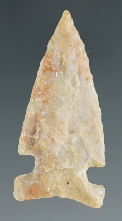 1 1/2" Beautifully flaked High Plains Sidenotch point found in Montana.