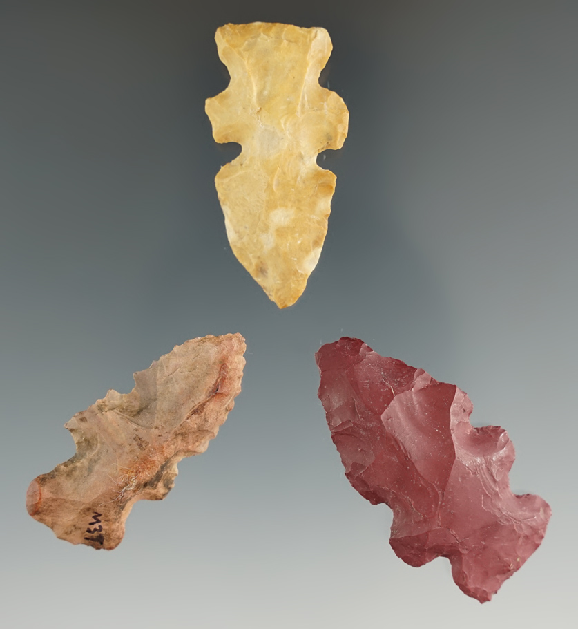 Set of three Evans double notched points found in Louisiana, largest is 1 3/4".