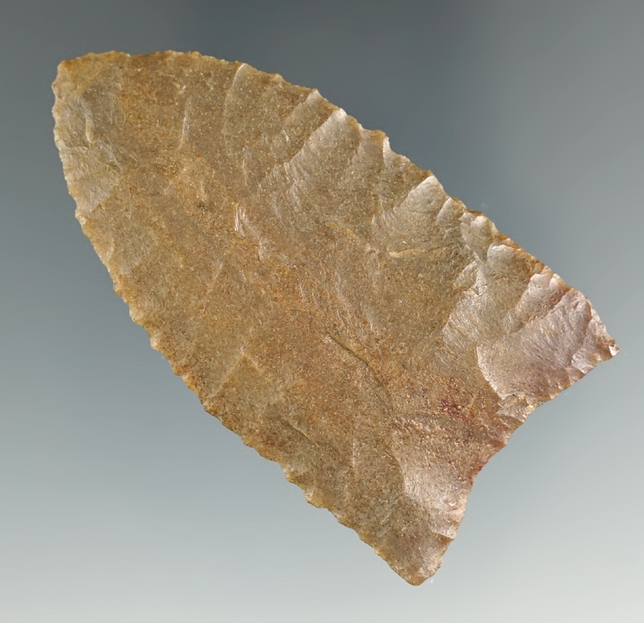 2 3/8" Paleo Lanceolate made from Ft. Payne Chert. Found in Lauderdale Co., AL. Tatum COA.