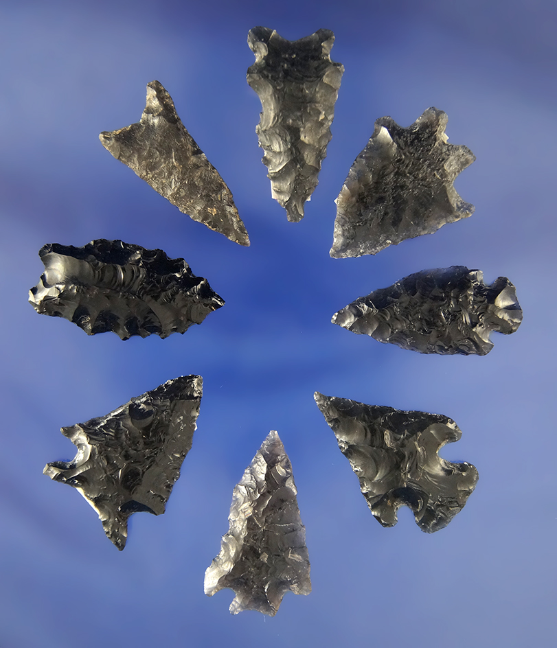 Set of eight of sorted Obsidian Arrowheads found in Oregon, largest is 1 1/4"