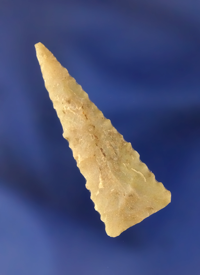 1 1/2" nicely serrated and well flaked Fort Ancient Triangle Point found in Greenup Co., Kentucky