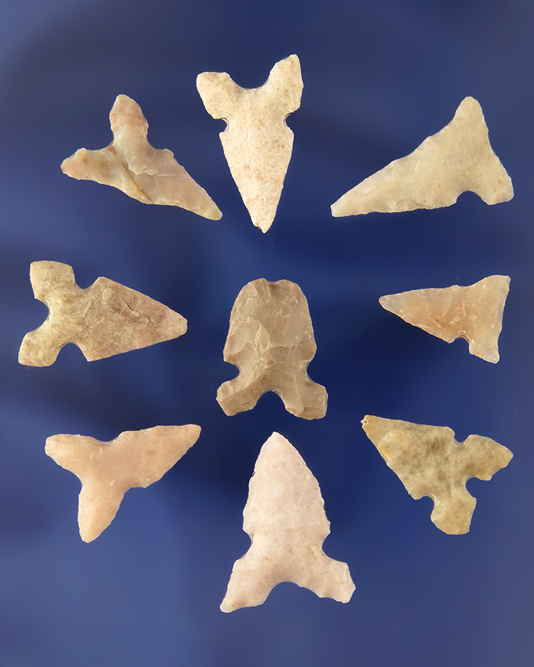 Set of nine assorted Bird Points found in Texas, largest is 3/4".