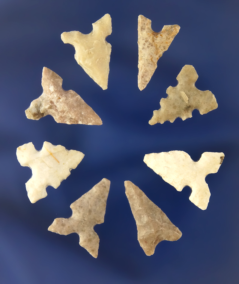 Set of eight nice Bird Points found in Texas, largest is 5/8".