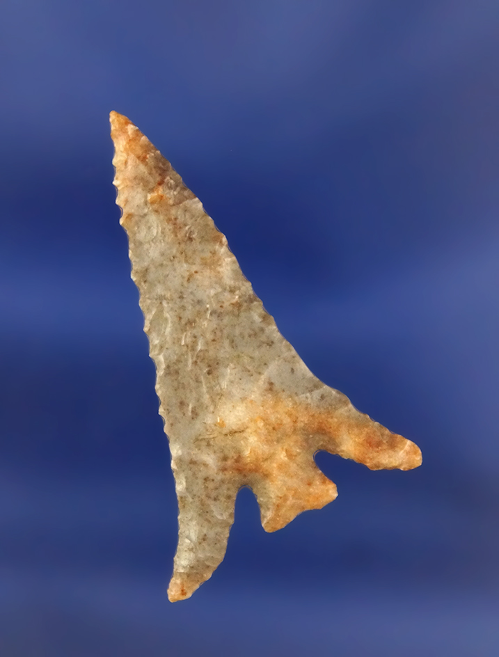 Sale Highlight! Beautiful G – 10 Columbia Plateau, 1 5/8" long found near Biggs Junction Washington.