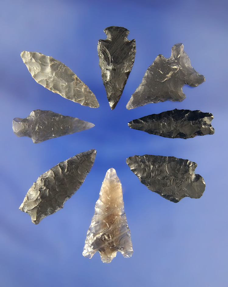 Set of eight assorted Obsidian Arrowheads found in Oregon. Largest is 1 1/4".